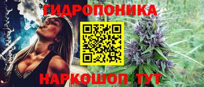 стаф Гусь-Хрустальный