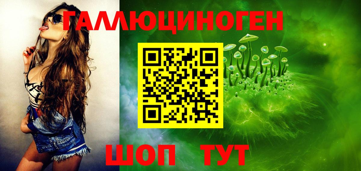 Малгобек  Псилоцибиновые грибы Psilocybine cubensis  Вход с VPN  Галлюциногенные грибы Psilocybe 
